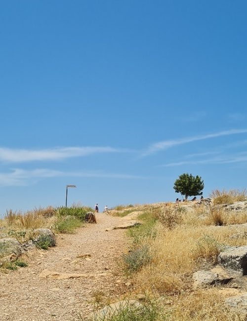 שמורת הטבע גן לאומי ארבל