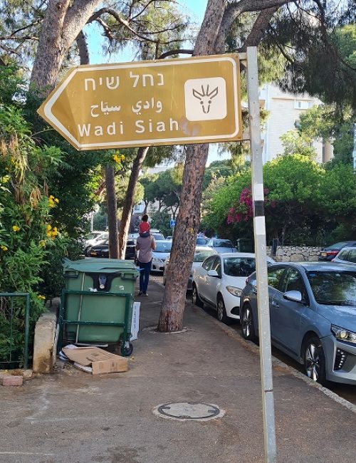 נחל שיח בוסתן כיאט חיפה
