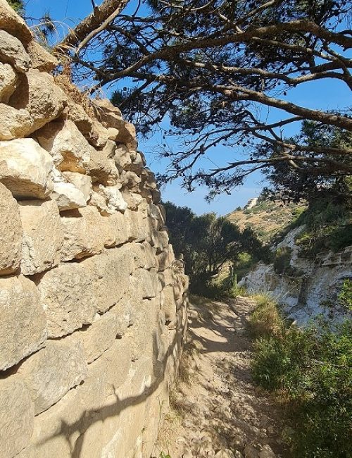 נחל שיח בוסתן כיאט חיפה