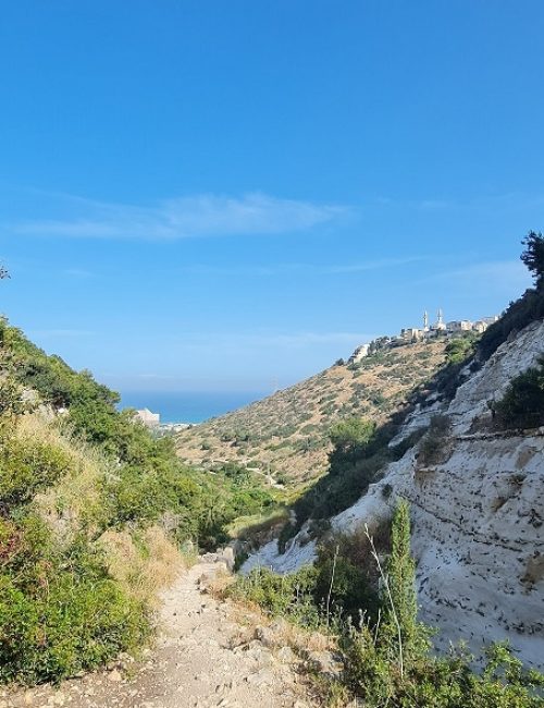 נחל שיח בוסתן כיאט חיפה