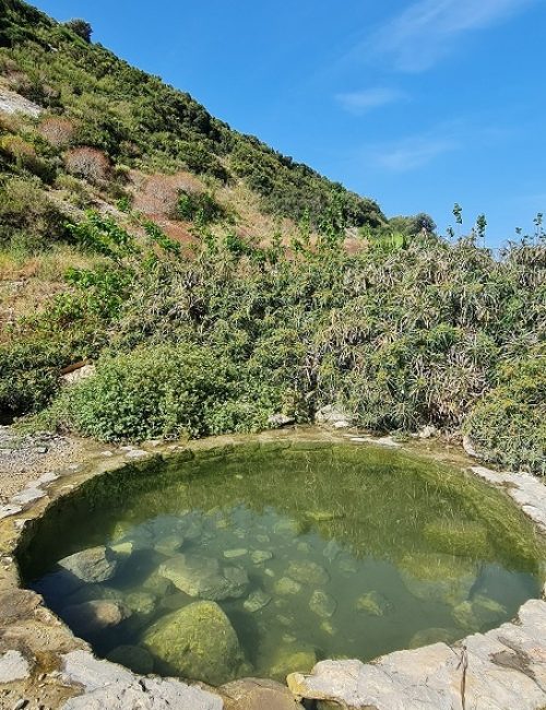 נחל שיח בוסתן כיאט חיפה