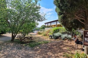 קיבוץ שמרת בגליל המערבי – תיירות וקולינריה