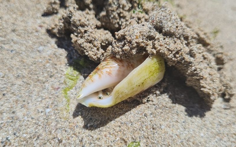 גן לאומי אכזיב