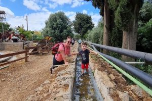 אמת המים רגבה – אתר פרשת המים