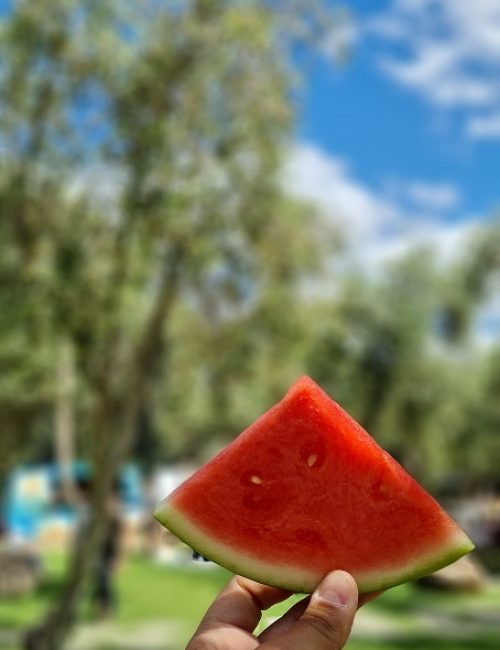 החווה בגליל – המקום הכי מיוחד שיש בגליל