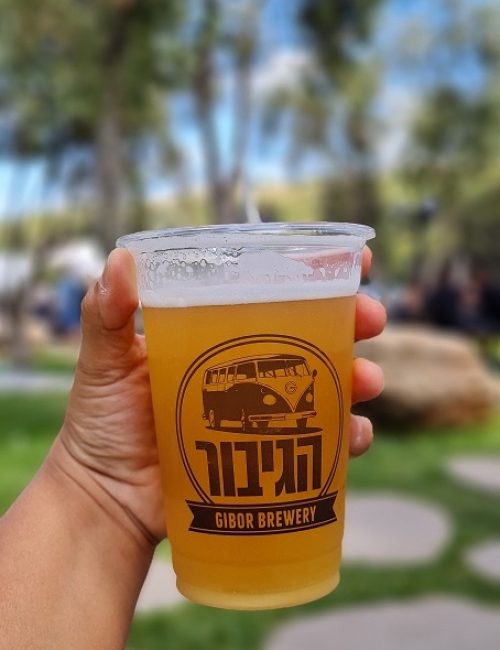 החווה בגליל – המקום הכי מיוחד שיש בגליל