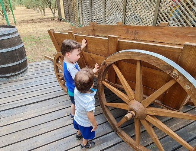 החווה בגליל – המקום הכי מיוחד שיש בגליל