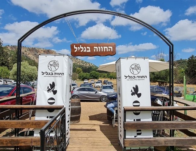 החווה בגליל – המקום הכי מיוחד שיש בגליל