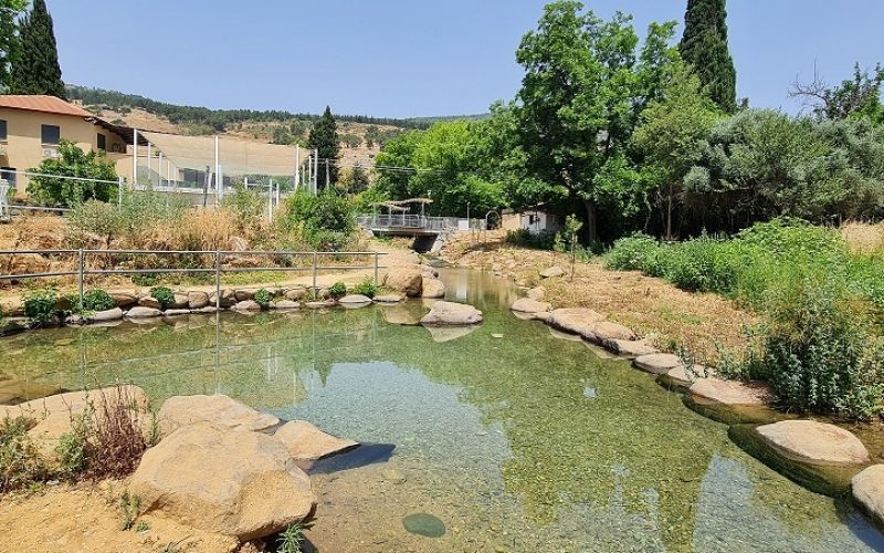 המעיין הכורדי בקרית שמונה עין הזהב