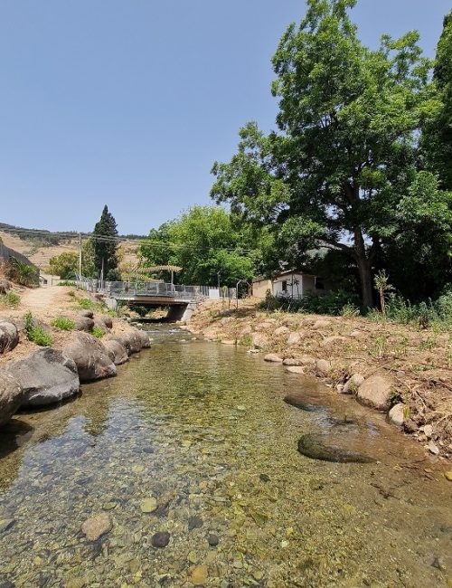 המעיין הכורדי בקרית שמונה עין הזהב