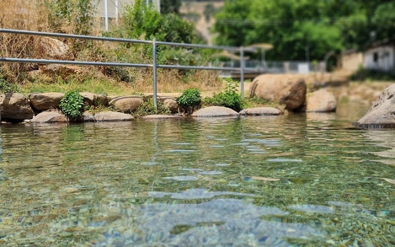 המעיין הכורדי בקרית שמונה עין הזהב