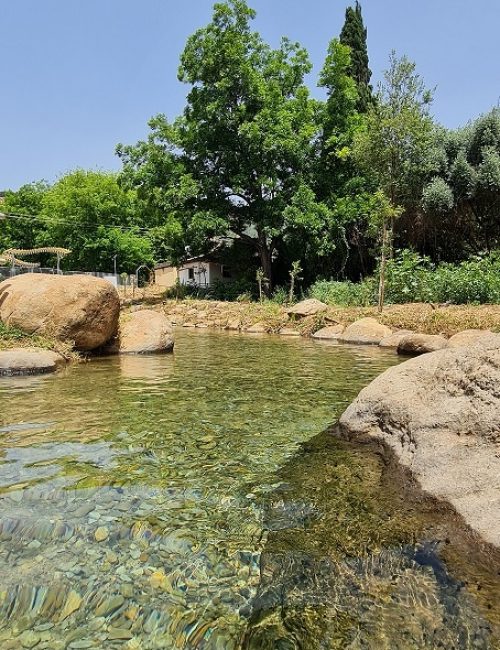 המעיין הכורדי בקרית שמונה עין הזהב