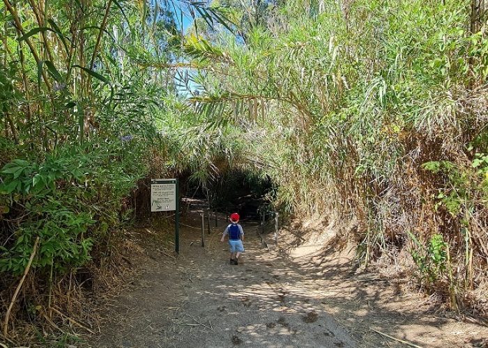 שמורת הטבע מג'רסה