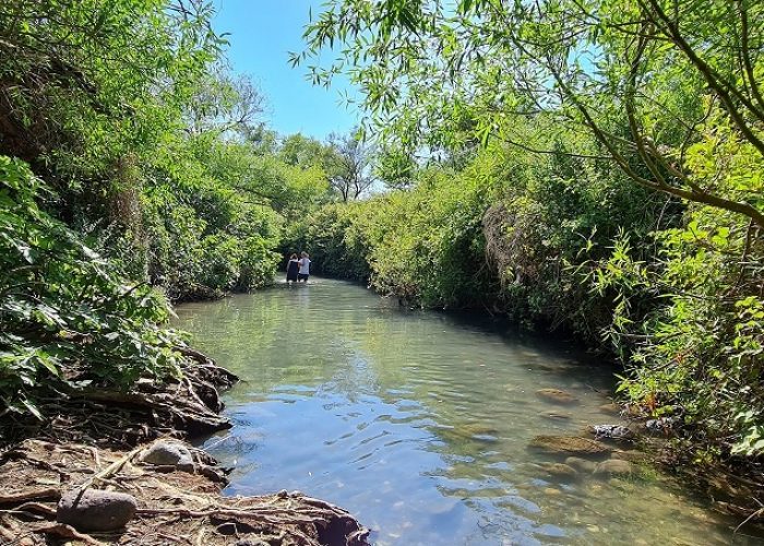 שמורת הטבע מג'רסה
