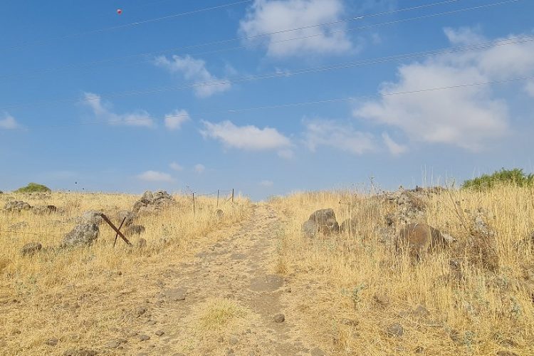 עין דביר עין טופח צומת עמיעד