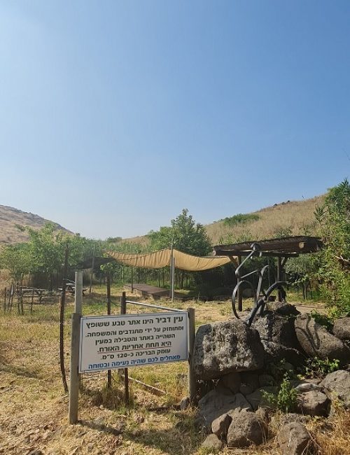 עין דביר עין טופח צומת עמיעד