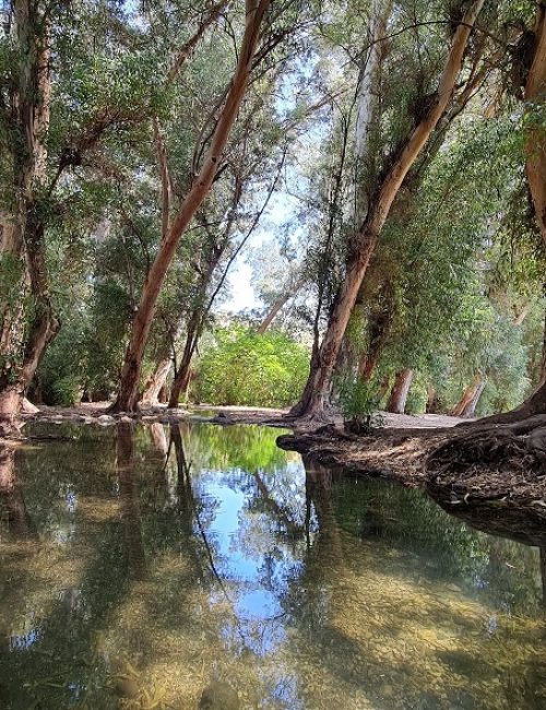 עין ירדה נחל מחניים חרבת ירדה