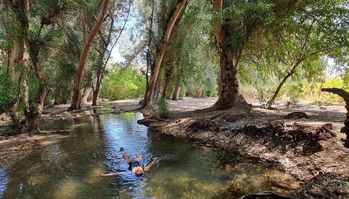 עין ירדה נחל מחניים חרבת ירדה