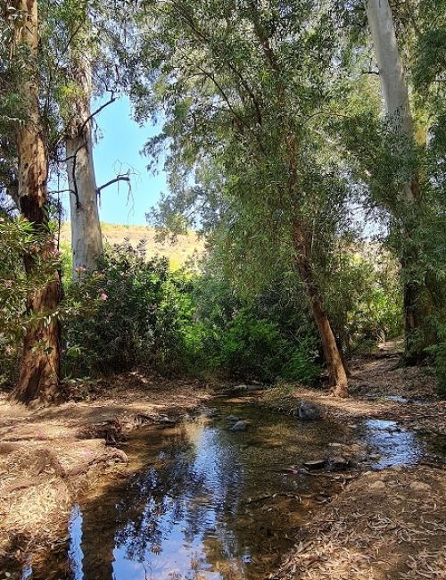 עין ירדה נחל מחניים חרבת ירדה