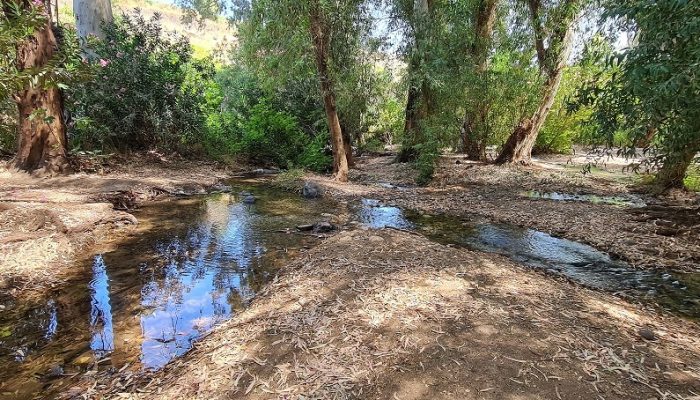 עין ירדה נחל מחניים חרבת ירדה
