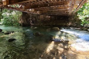 נחל חרמון הבניאס בשאר ישוב