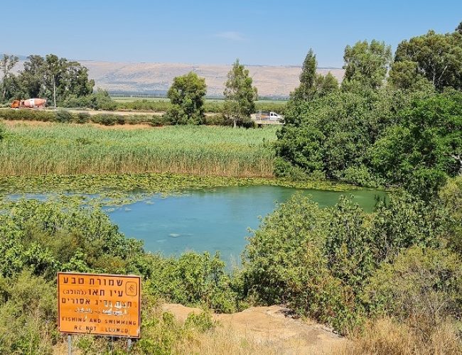 שמורת הטבע עין תאו עין ג'וחלה
