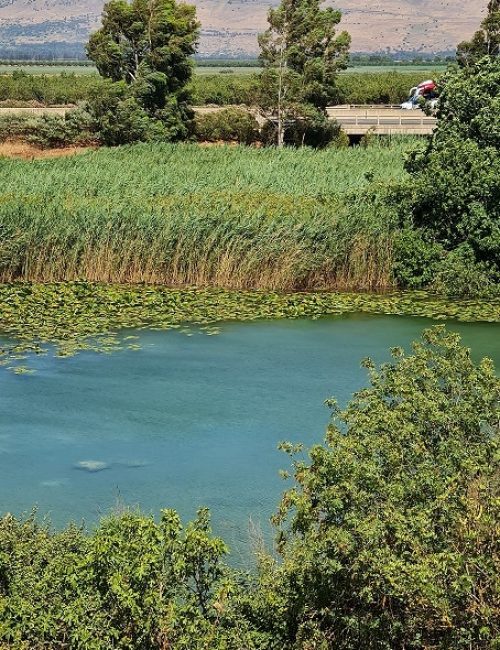 שמורת הטבע עין תאו עין ג'וחלה