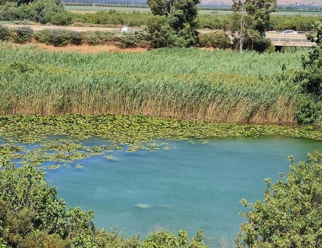 שמורת הטבע עין תאו עין ג'וחלה