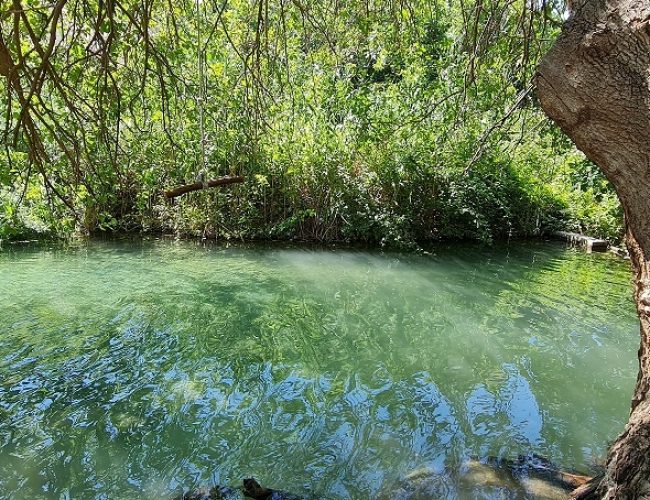 שמורת הטבע עין תאו עין ג'וחלה