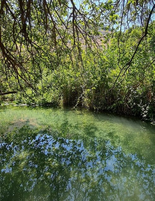 שמורת הטבע עין תאו עין ג'וחלה