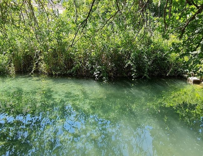 שמורת הטבע עין תאו עין ג'וחלה