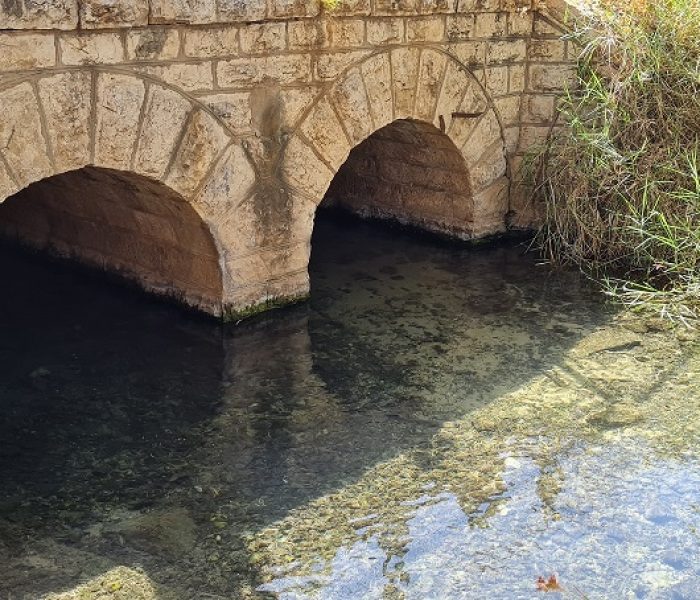 נחל סעדיה – פנינת הטבע הכי מפתיעה של חיפה