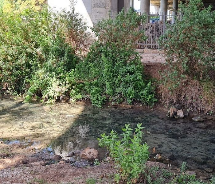 נחל סעדיה – פנינת הטבע הכי מפתיעה של חיפה