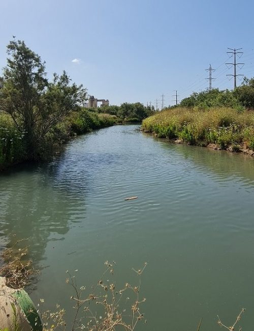 נחל סעדיה – פנינת הטבע הכי מפתיעה של חיפה