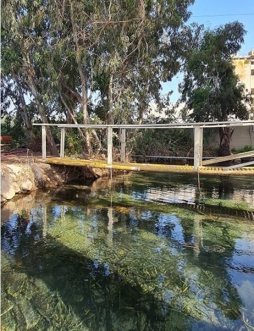 נחל סעדיה – פנינת הטבע הכי מפתיעה של חיפה