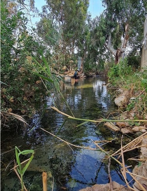 נחל סעדיה – פנינת הטבע הכי מפתיעה של חיפה