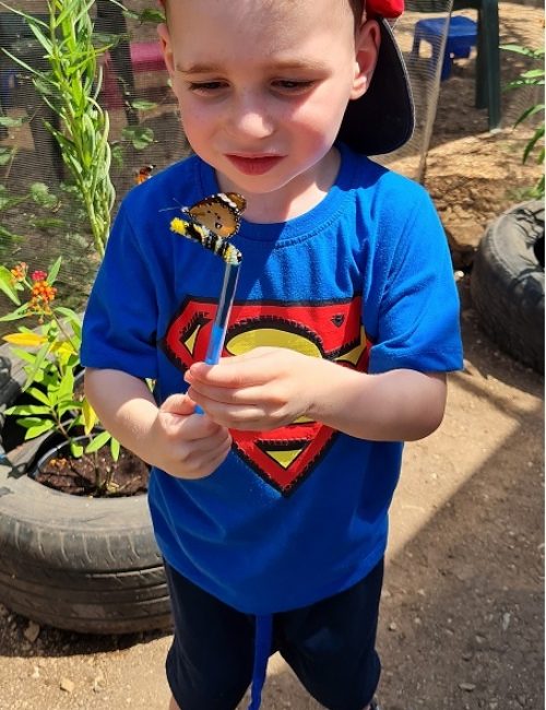 משתלת הפרפרים בחוף הכרמל – אטרקציה לכל המשפחה