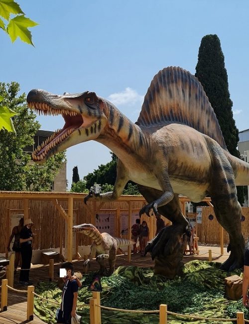 מדעטק חיפה – המוזיאון הלאומי למדע טכנולוגי וחלל