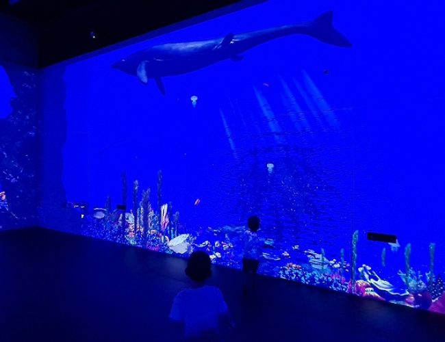 מדעטק חיפה – המוזיאון הלאומי למדע טכנולוגי וחלל