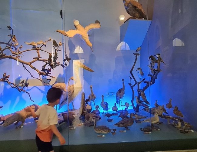 מדעטק חיפה – המוזיאון הלאומי למדע טכנולוגי וחלל