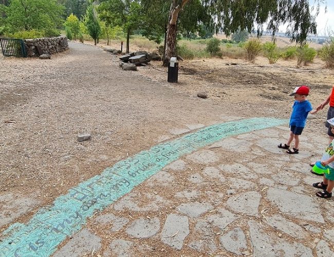 עיינות עדן עין סלוקיה מעיינות עדן