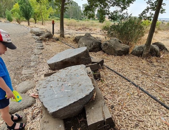 עיינות עדן עין סלוקיה מעיינות עדן