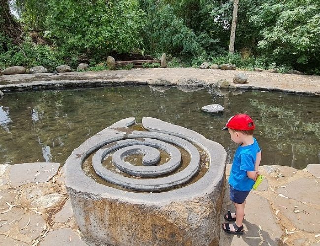 עיינות עדן עין סלוקיה מעיינות עדן