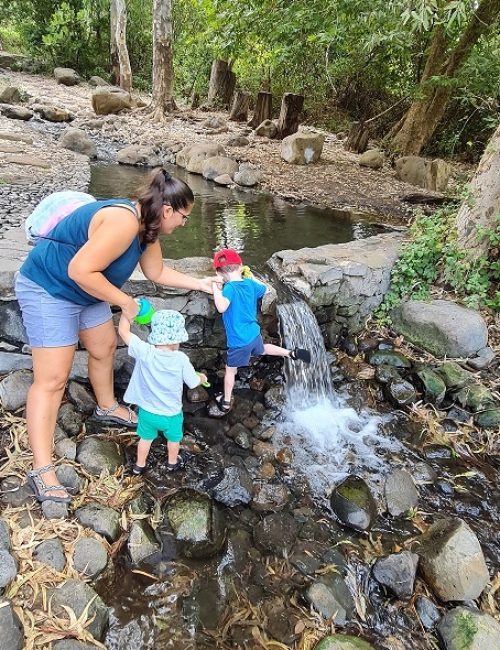 עיינות עדן עין סלוקיה מעיינות עדן