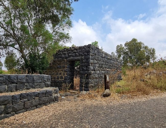עיינות עדן עין סלוקיה מעיינות עדן