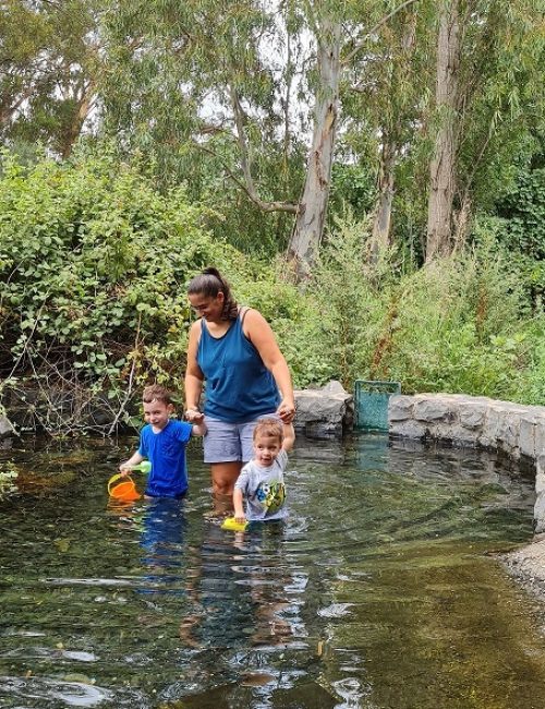 עיינות עדן עין סלוקיה מעיינות עדן