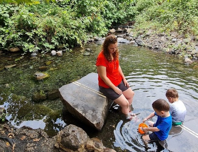 עיינות עדן עין סלוקיה מעיינות עדן