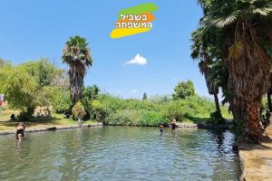 עין נון מעיין עין נון