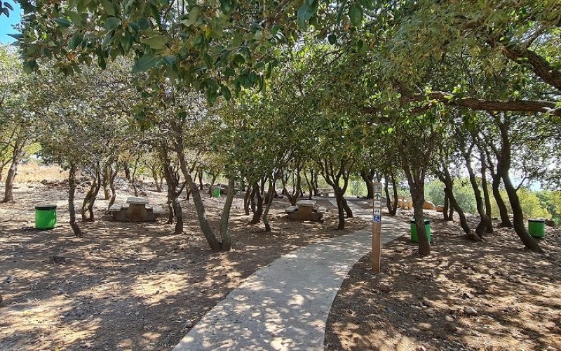 אנדרטת חטיבת מילואים 679 ויער הלוחמים