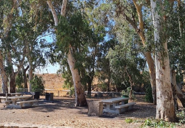 פארק עורבים וארמון המלך האמיר פאעור